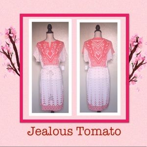 🌹 JEALOUS TOMATO 🌹Aztec Dress 🌹🌈